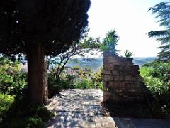 183 HYERES ET SES PALMIERS D01_000021